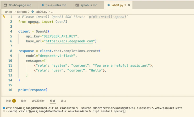 OpenAI SDK 安装与调用示例