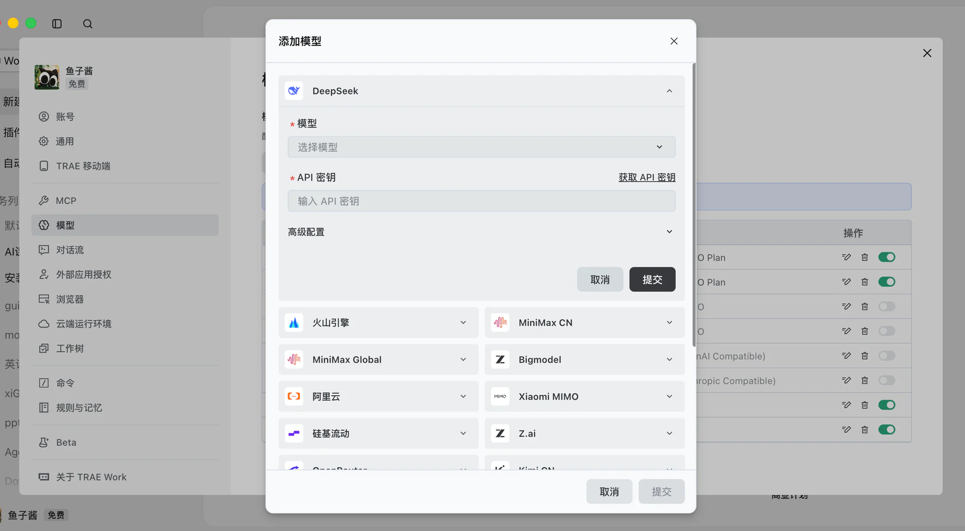 TRAE 模型提供商设置